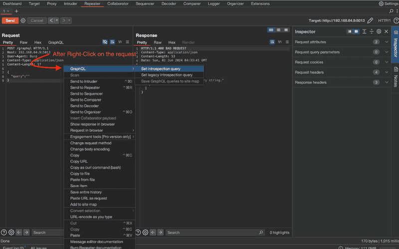 Introspection through Burp Suite