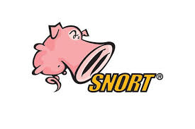 Intrusion Detection: What is Snort?