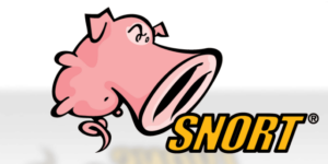 snort-image-illustration