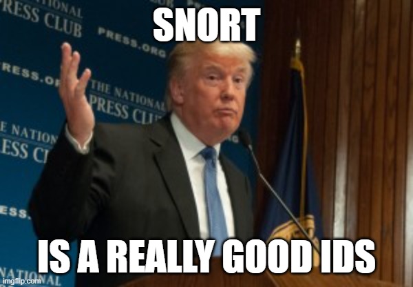 snort-is-a-really-good-IDS meme