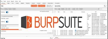 getting-started-with-burpsuite-image