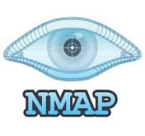 Nmap logo image